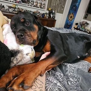 Meet your Posher, Corinne